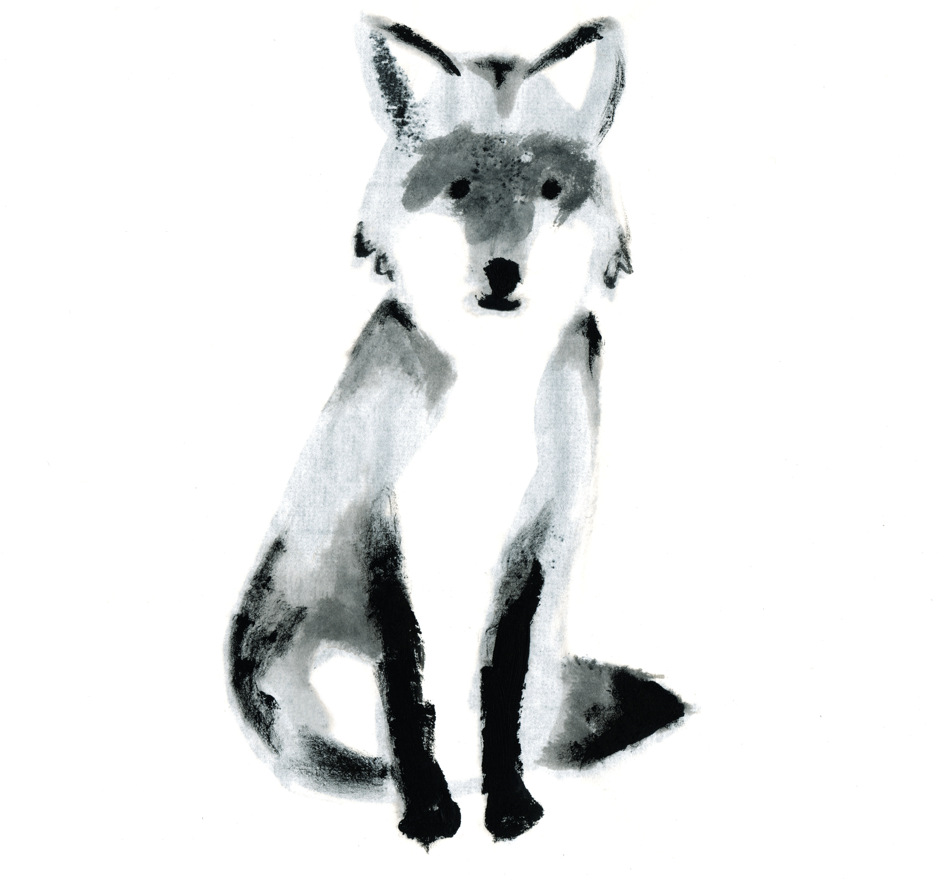 desiree-delpin-illustrazione-volpe-fox