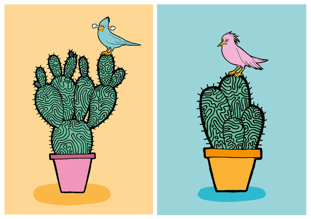 sarah-giacomini-illustrazioni-cactus