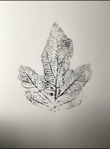 acrylic-paintings-of-leaves