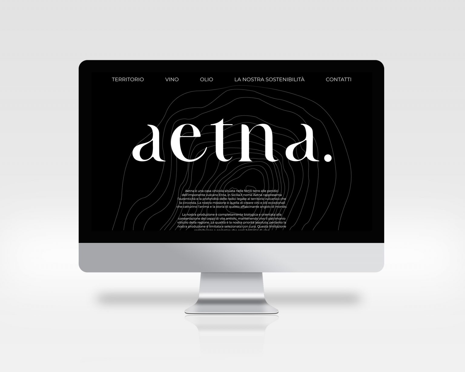 sitoweb_azienda_Aetna